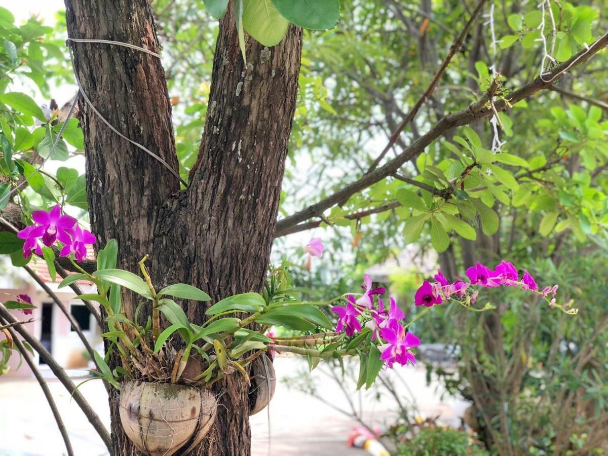 Soda Resort Kamphaeng Phet Exterior photo